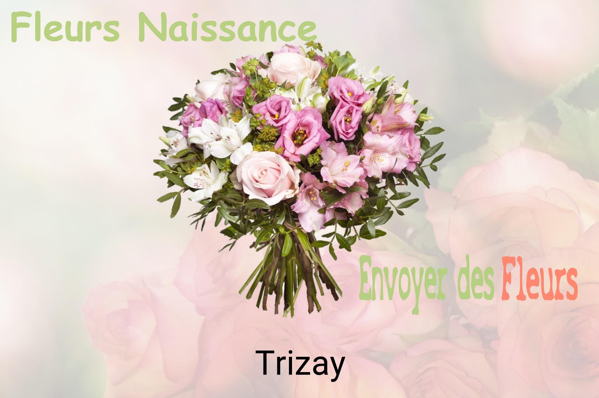 Bouquet de fleurs de naissance livré à Trizay