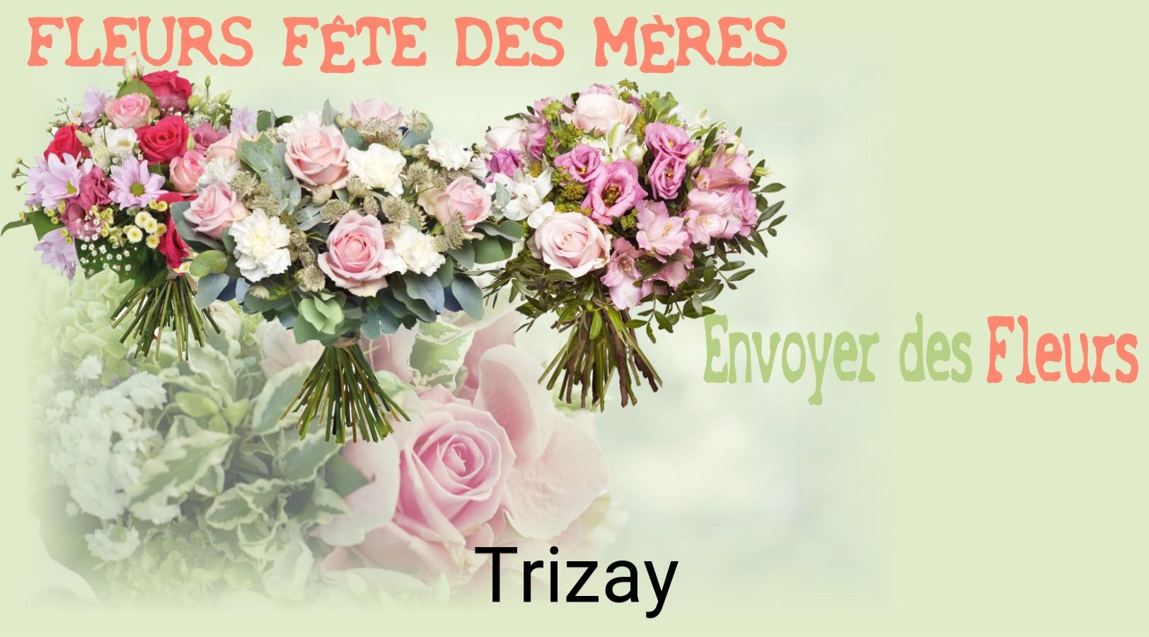 Bouquet de Fête des Mères livré à Trizay
